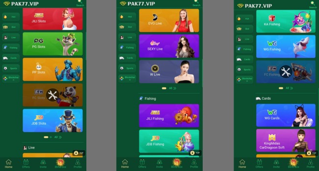 PAK77 Game Download Image