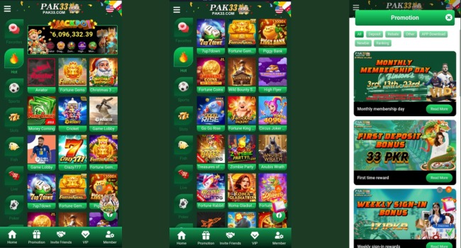 Pak33 Game Image picture