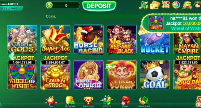 Winli Slots Game Logo