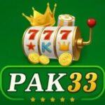 Pak33 Game image