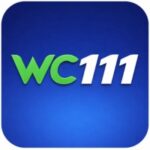 WC111 Game