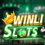 Winli Slots Game