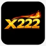 x222 Game Logo